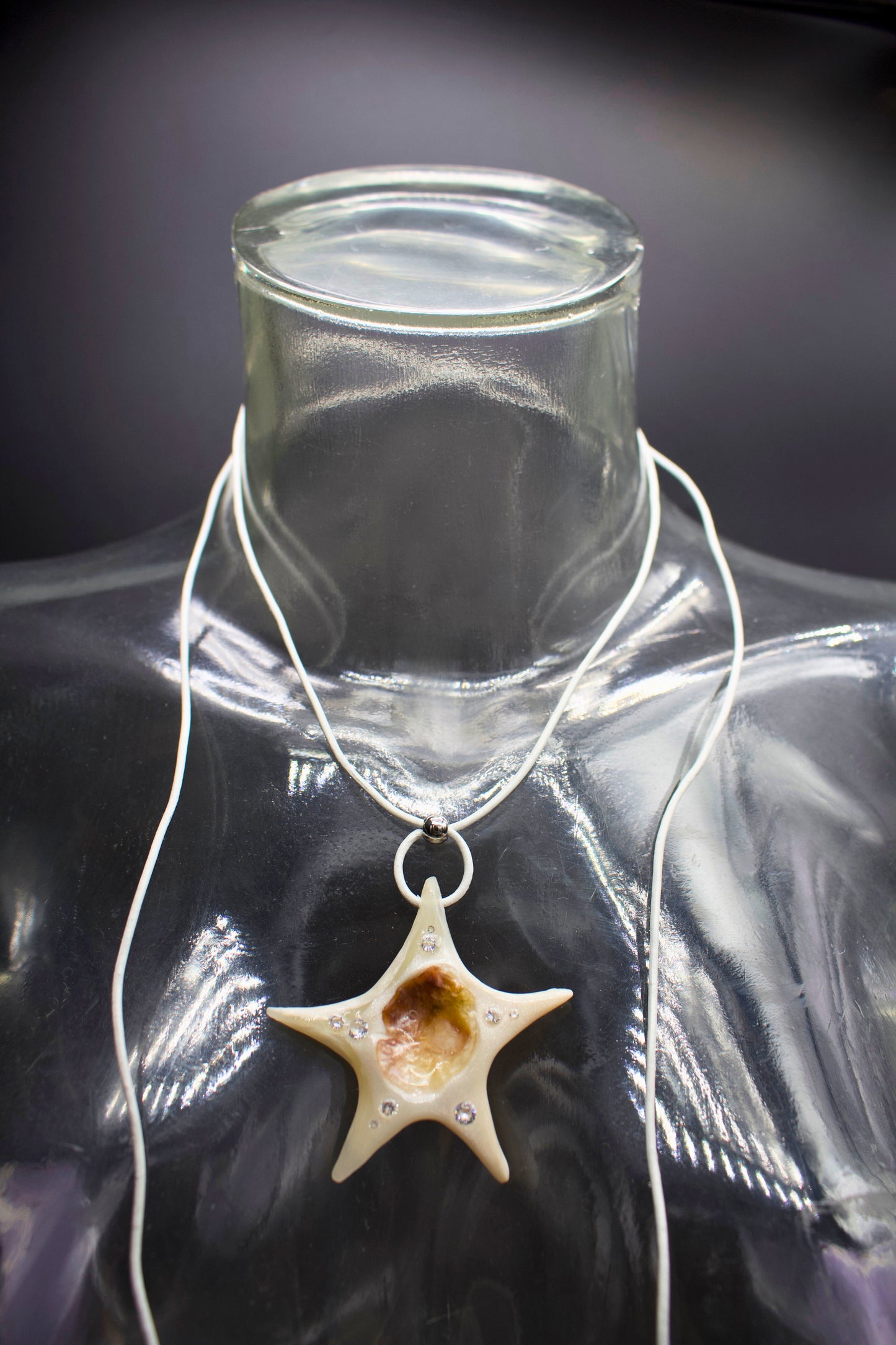 Big Star on a Rope